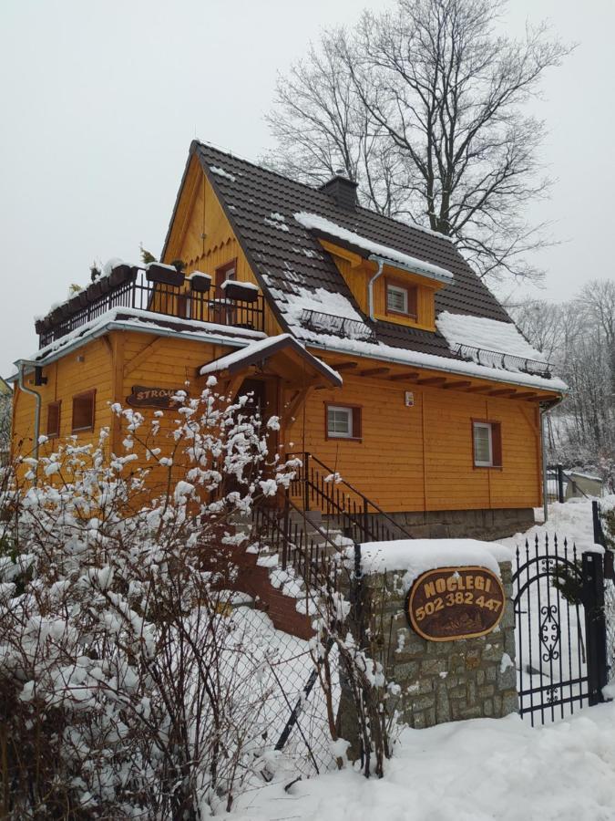 Sosnowa Chata - Dom Z Prywatna Sauna Szklarska Poreba Ngoại thất bức ảnh
