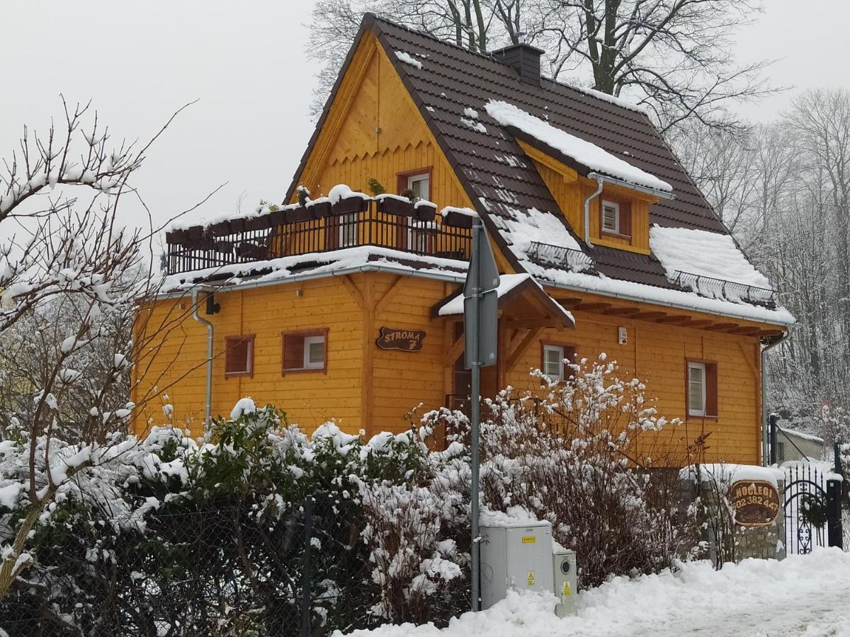 Sosnowa Chata - Dom Z Prywatna Sauna Szklarska Poreba Ngoại thất bức ảnh