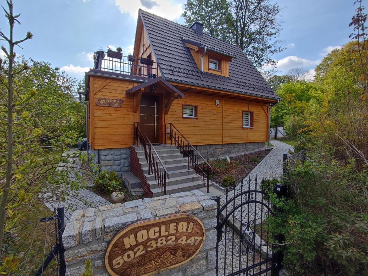 Sosnowa Chata - Dom Z Prywatna Sauna Szklarska Poreba Ngoại thất bức ảnh